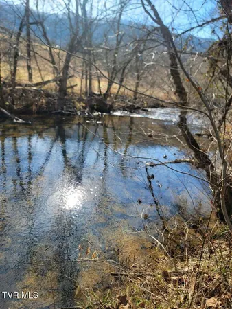 $230,000 | Tbd Hurricane Road, Jonesville, VA 24263
