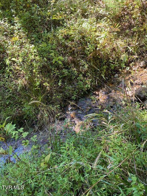 Tbd Hurricane Road Jonesville, VA 24263 - Photo 3 of 7 creek