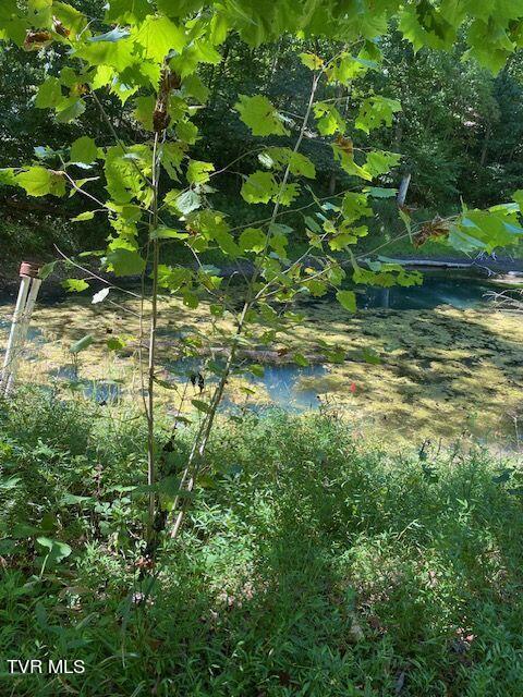 Tbd Hurricane Road Jonesville, VA 24263 - Photo 4 of 7 Pond