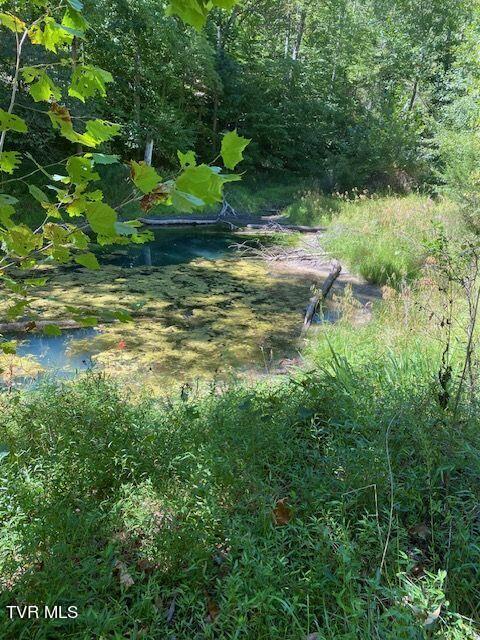 Tbd Hurricane Road Jonesville, VA 24263 - Photo 5 of 7 pond 2