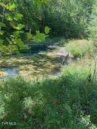 $230,000 | Tbd Hurricane Road, Jonesville, VA 24263