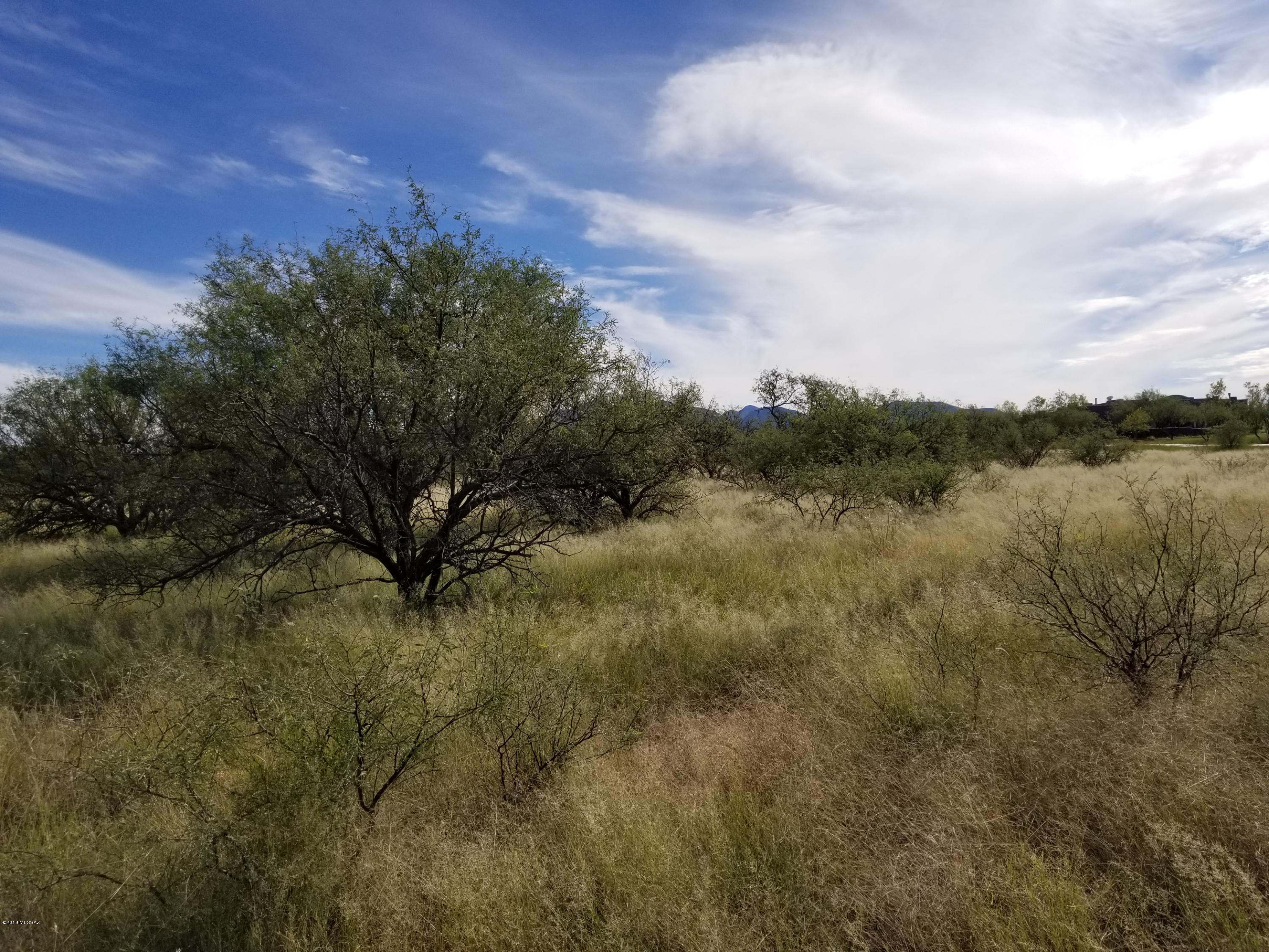 Horse Ride Loop, Unit 34 Benson, AZ 85602 - Photo 2 of 3
