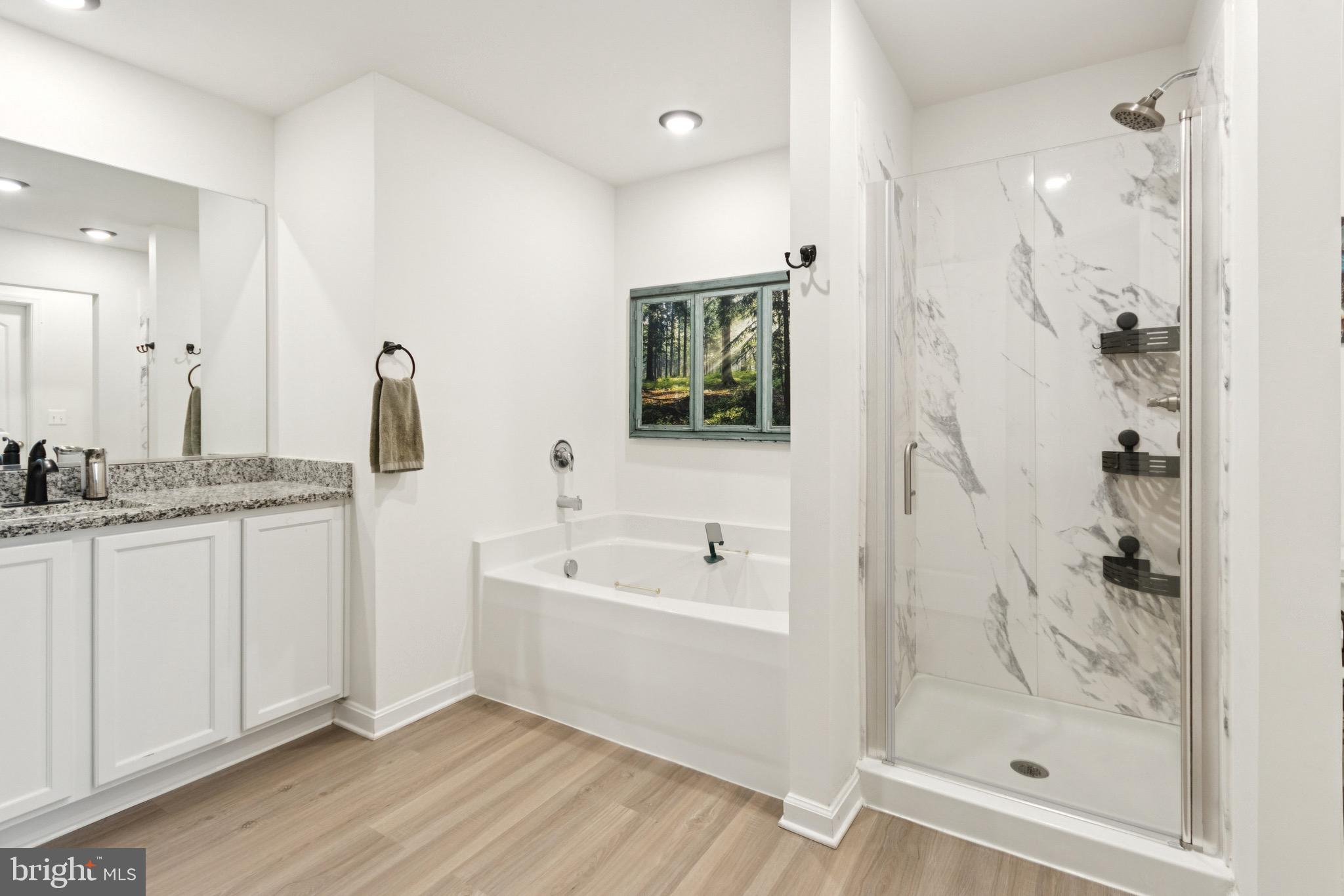 17063 Rollins Road Bowling Green, VA 22427 - Photo 23 of 40 a bathroom with a double vanity sink a mirror and a bathtub