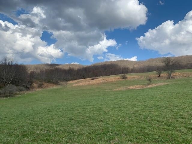 Tbd Big Valley Road Monterey, VA 24465 - Photo 1 of 17 Gallery Image 1