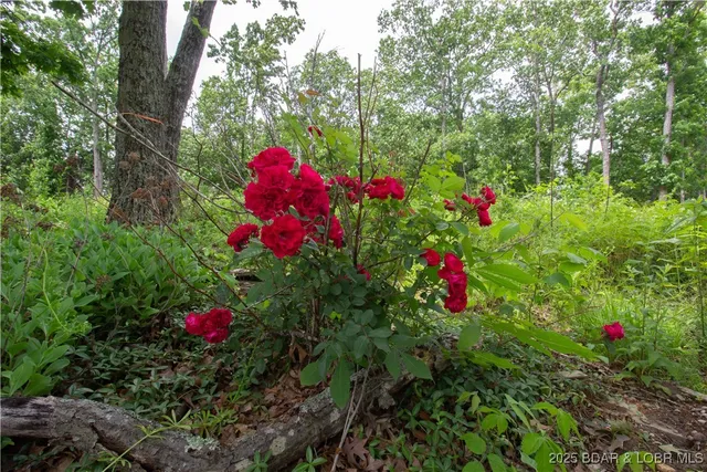 $130,000 | 12850 17th Highway, Crocker, MO 65452