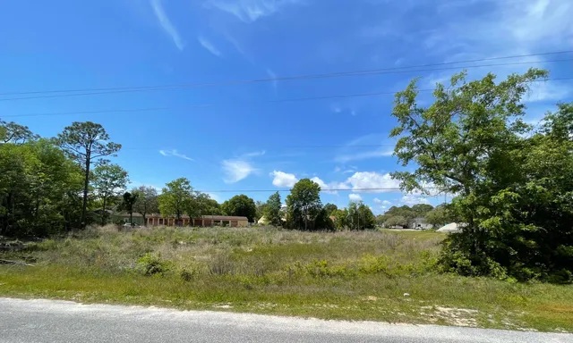 a view of a yard with palm trees