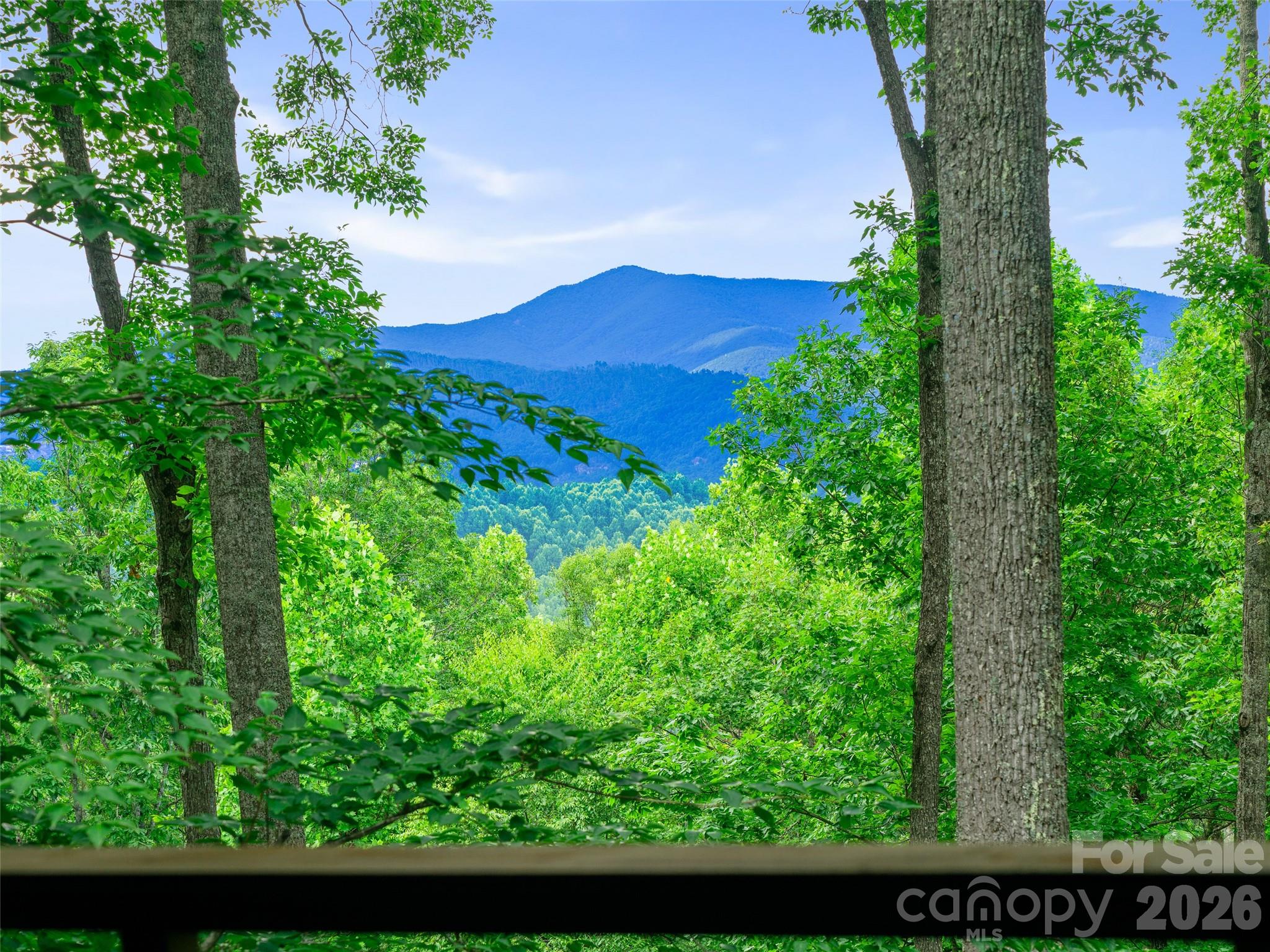71 Chestnut Hill Road Spruce Pine, NC 28777 - Photo 34 of 39