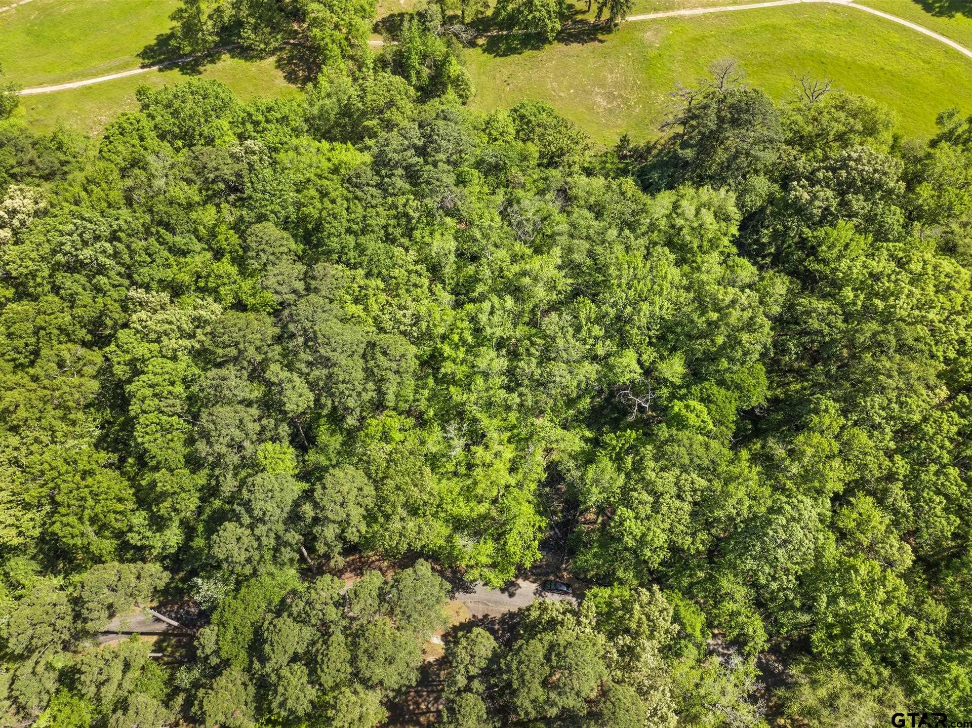 Lot 18 Country Club Road Scroggins, TX 75480 - Photo 11 of 17