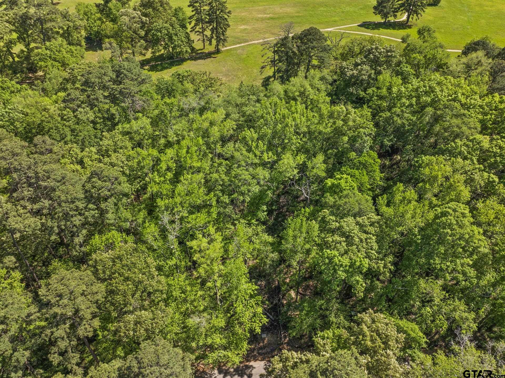 Lot 18 Country Club Road Scroggins, TX 75480 - Photo 13 of 17