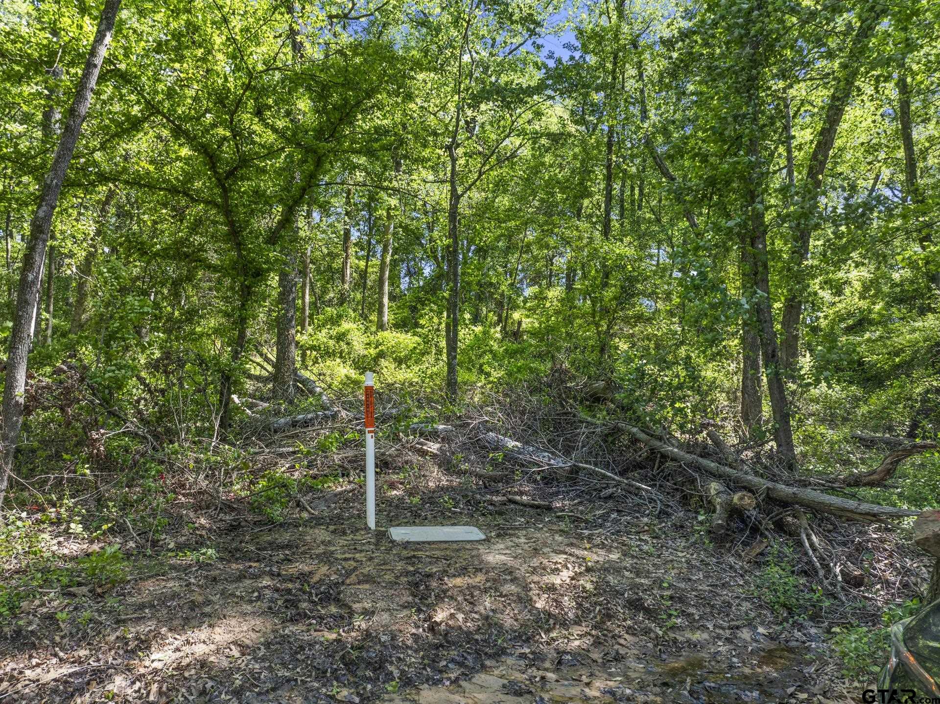 Lot 18 Country Club Road Scroggins, TX 75480 - Photo 5 of 17