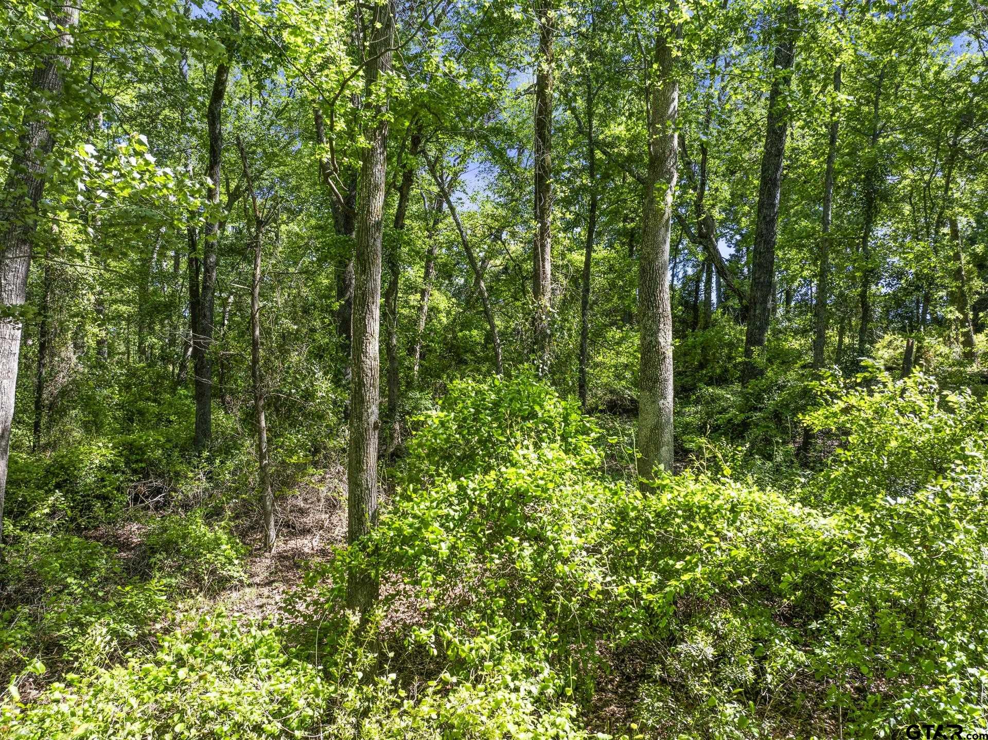 Lot 18 Country Club Road Scroggins, TX 75480 - Photo 6 of 17