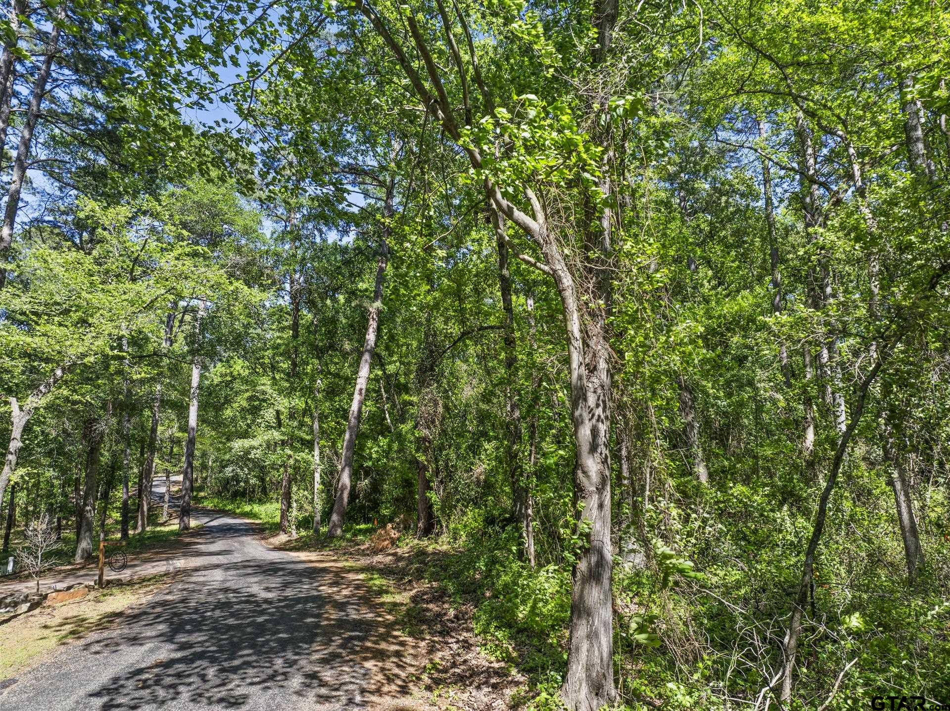 Lot 18 Country Club Road Scroggins, TX 75480 - Photo 7 of 17