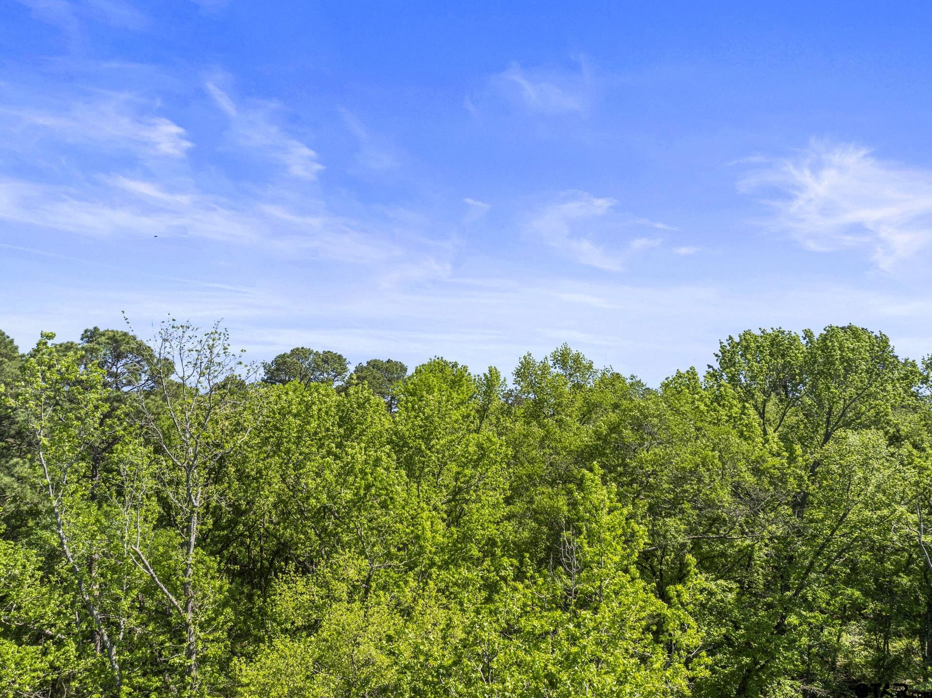 Lot 18 Country Club Road Scroggins, TX 75480 - Photo 10 of 17