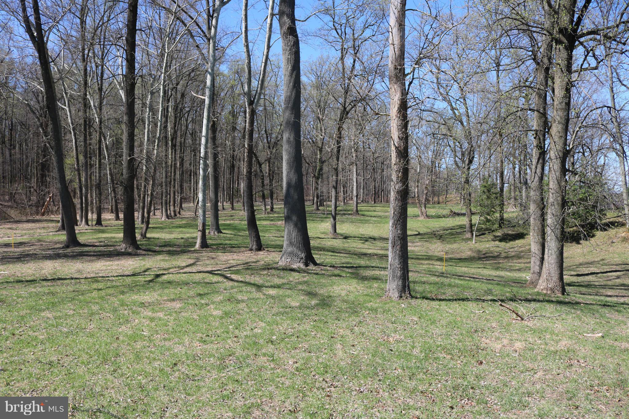 Sherwood Forest Road Annapolis, MD 21405 - Photo 7 of 29 View