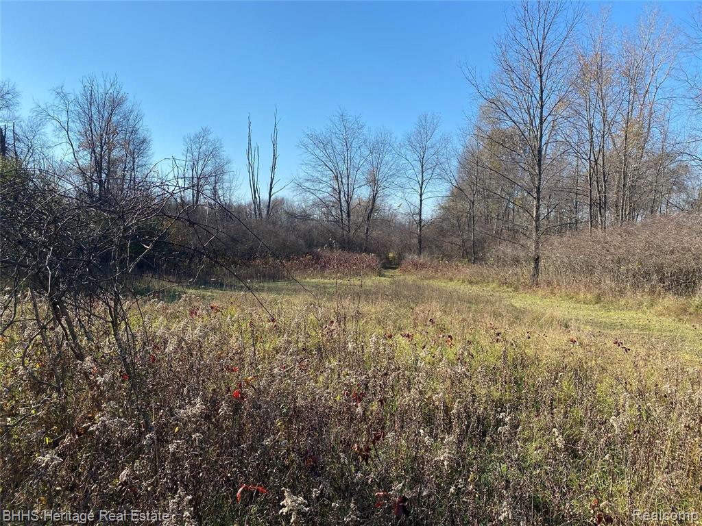 Vl Vl Kleinway Road Fowlerville, MI 48836 - Photo 16 of 17