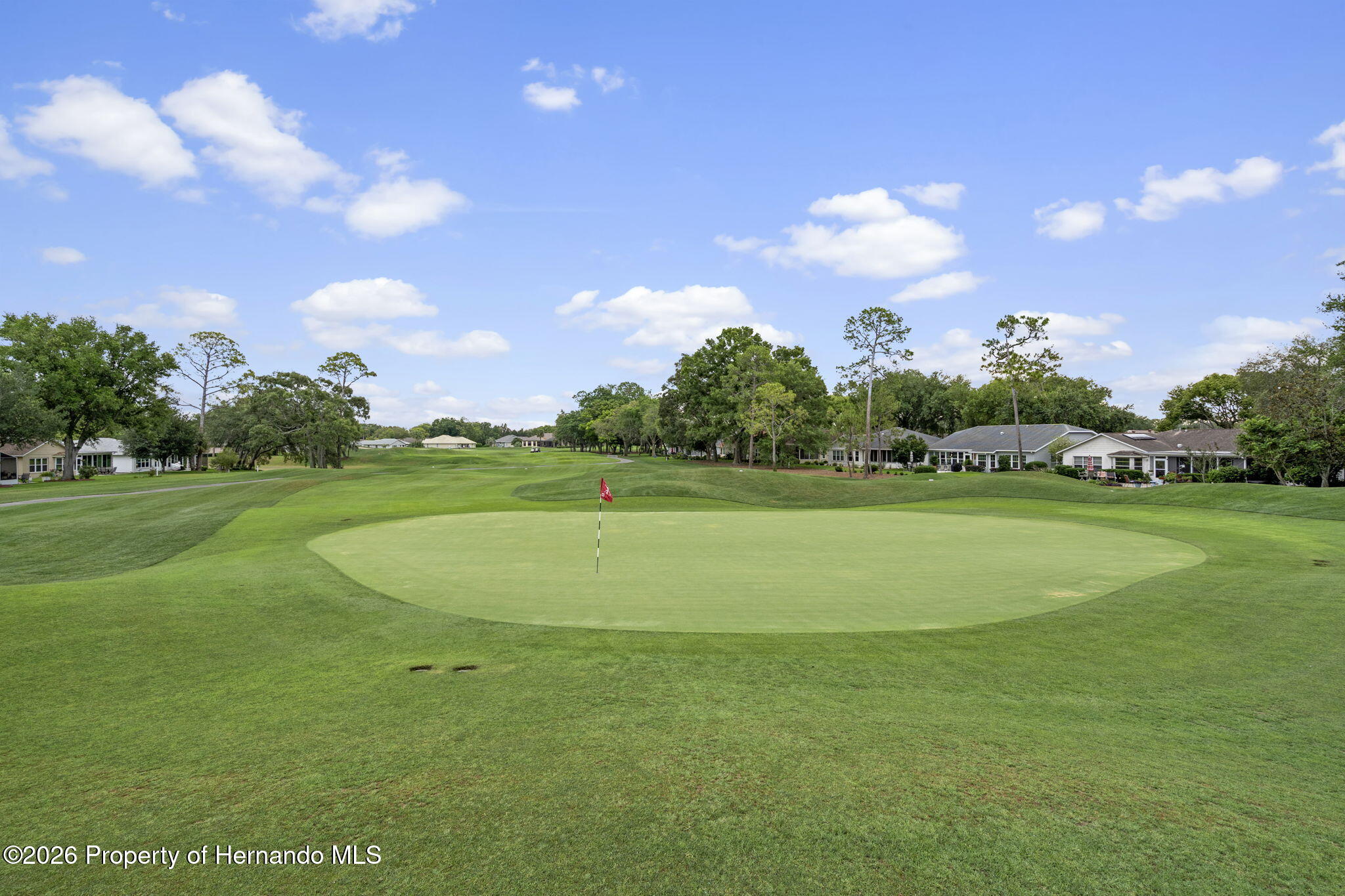 3072 Eagle Bend Road Spring Hill, FL 34606 - Photo 70 of 115 70-web-or-mls-SP_1077