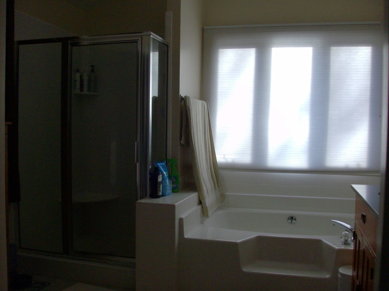 364 McIntosh Road Roanoke, VA 24019 - Photo 16 of 26 Master Bath