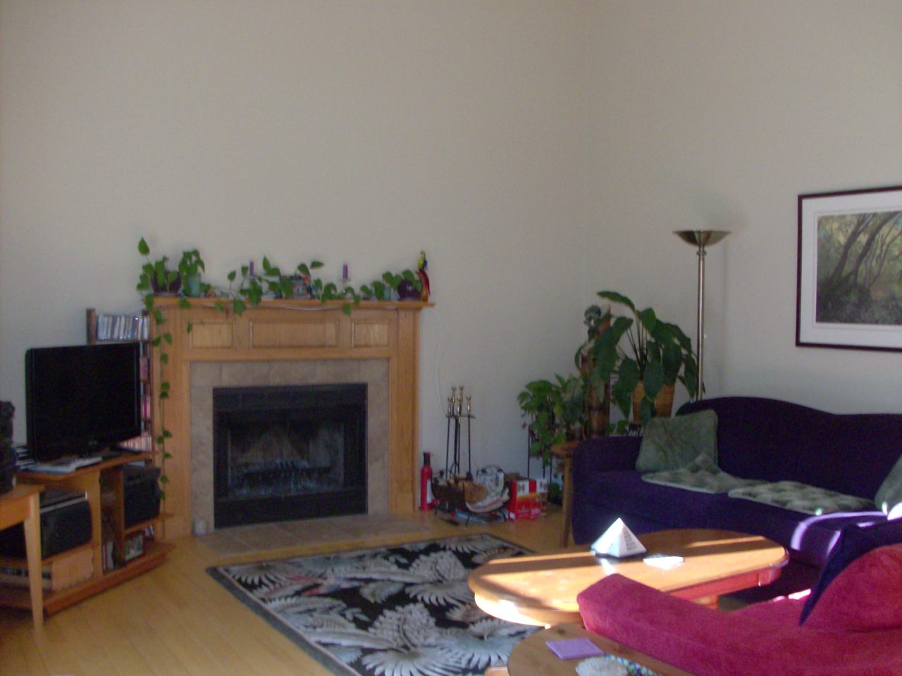 364 McIntosh Road Roanoke, VA 24019 - Photo 9 of 26 Great Room with Wood Burning Fireplace