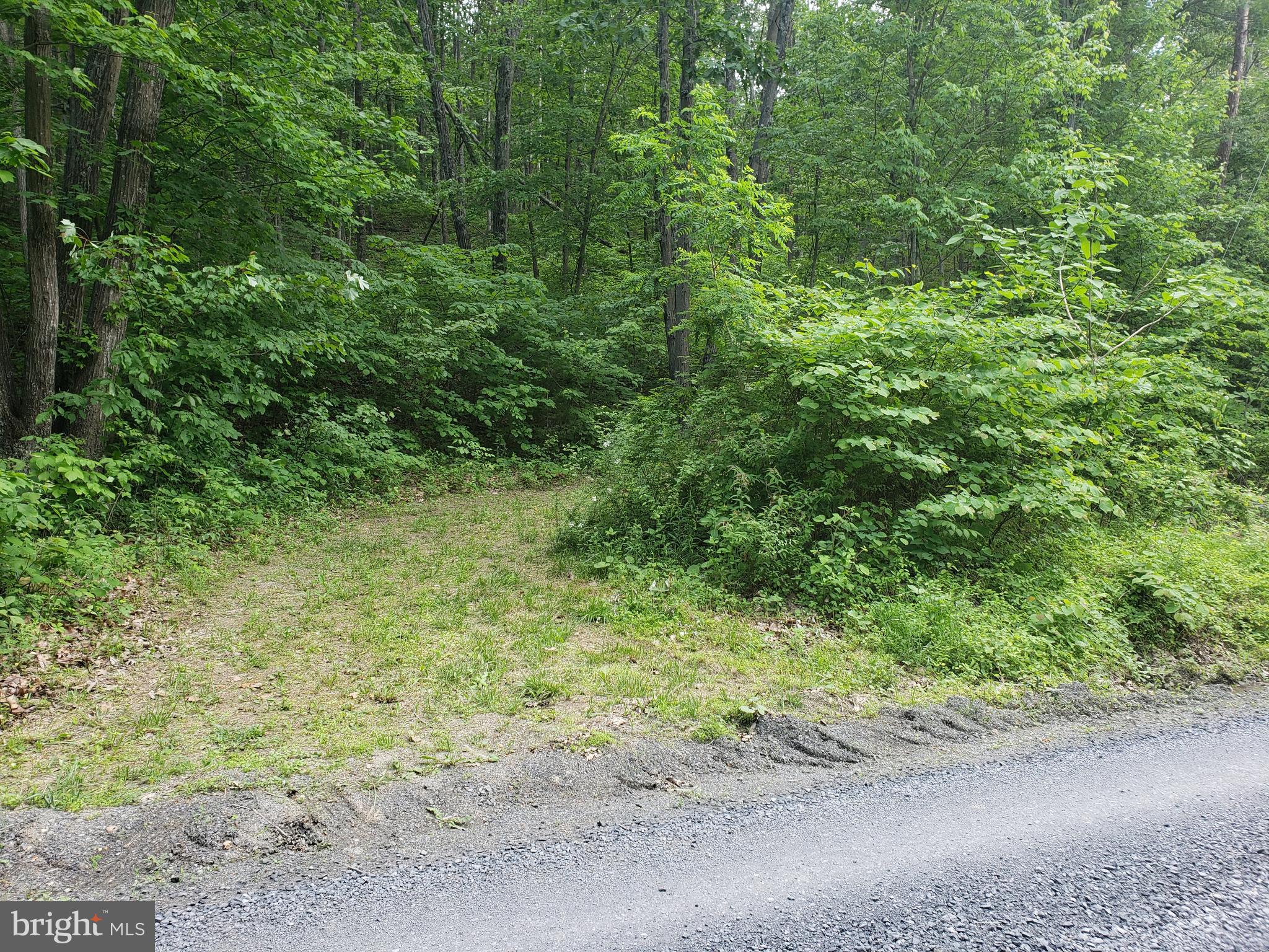 Paddys Run Road Star Tannery, VA 22654 - Photo 3 of 11 Gallery Image 3