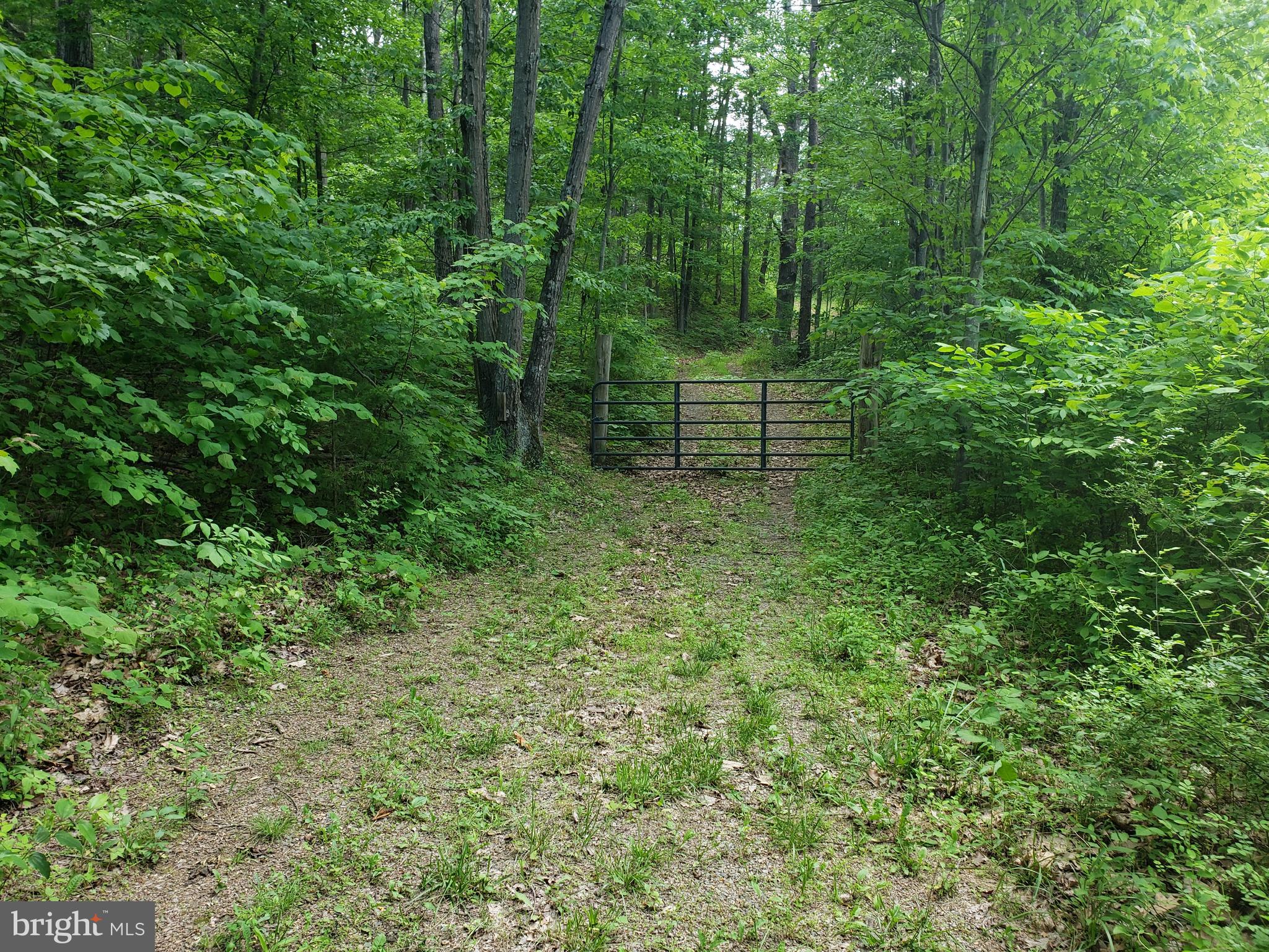 Paddys Run Road Star Tannery, VA 22654 - Photo 4 of 11 Gallery Image 4
