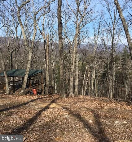 Paddys Run Road Star Tannery, VA 22654 - Photo 7 of 11 Gallery Image 7