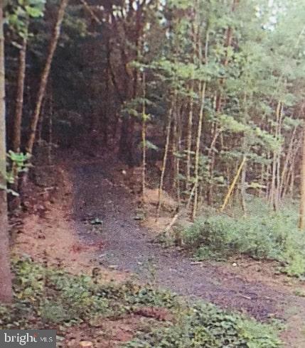 Paddys Run Road Star Tannery, VA 22654 - Photo 10 of 11 Gallery Image 10