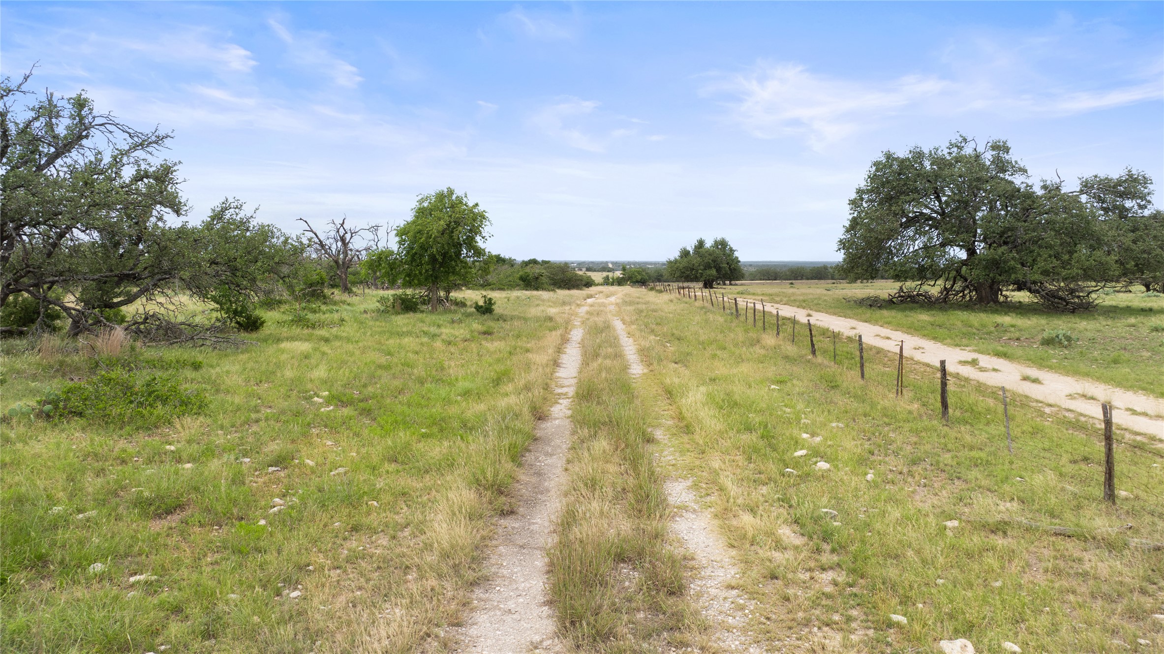 3049 Reservation Road Harper, TX 78631 - Photo 6 of 40 a view of yard with swimming pool and trees in the background