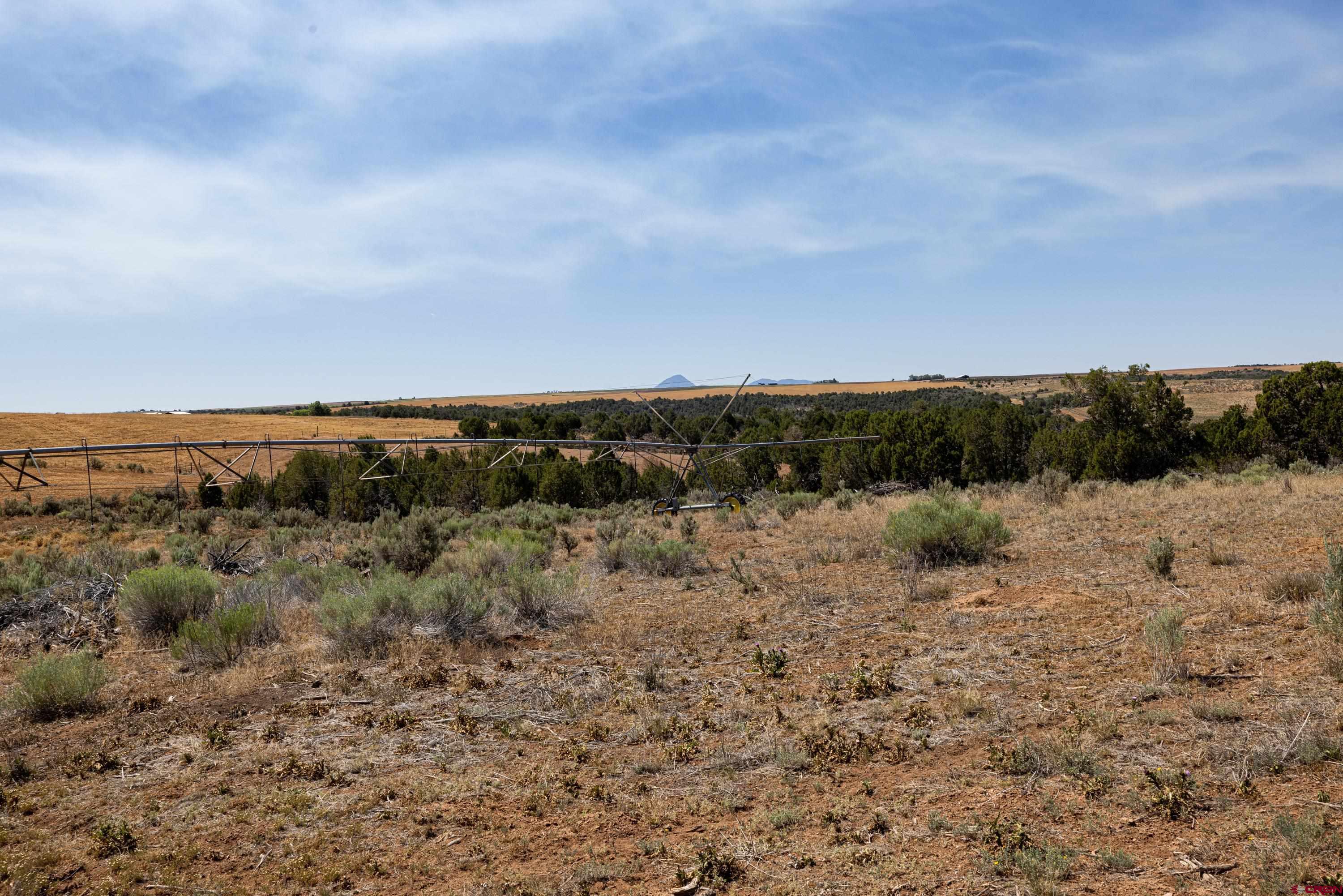Tbd Tbd Road Pleasant View, CO 81331 - Photo 16 of 17