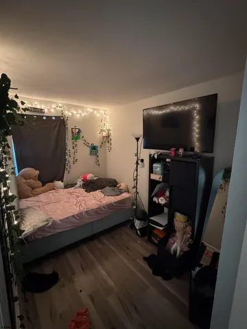 a bedroom with a bed and a flat screen tv