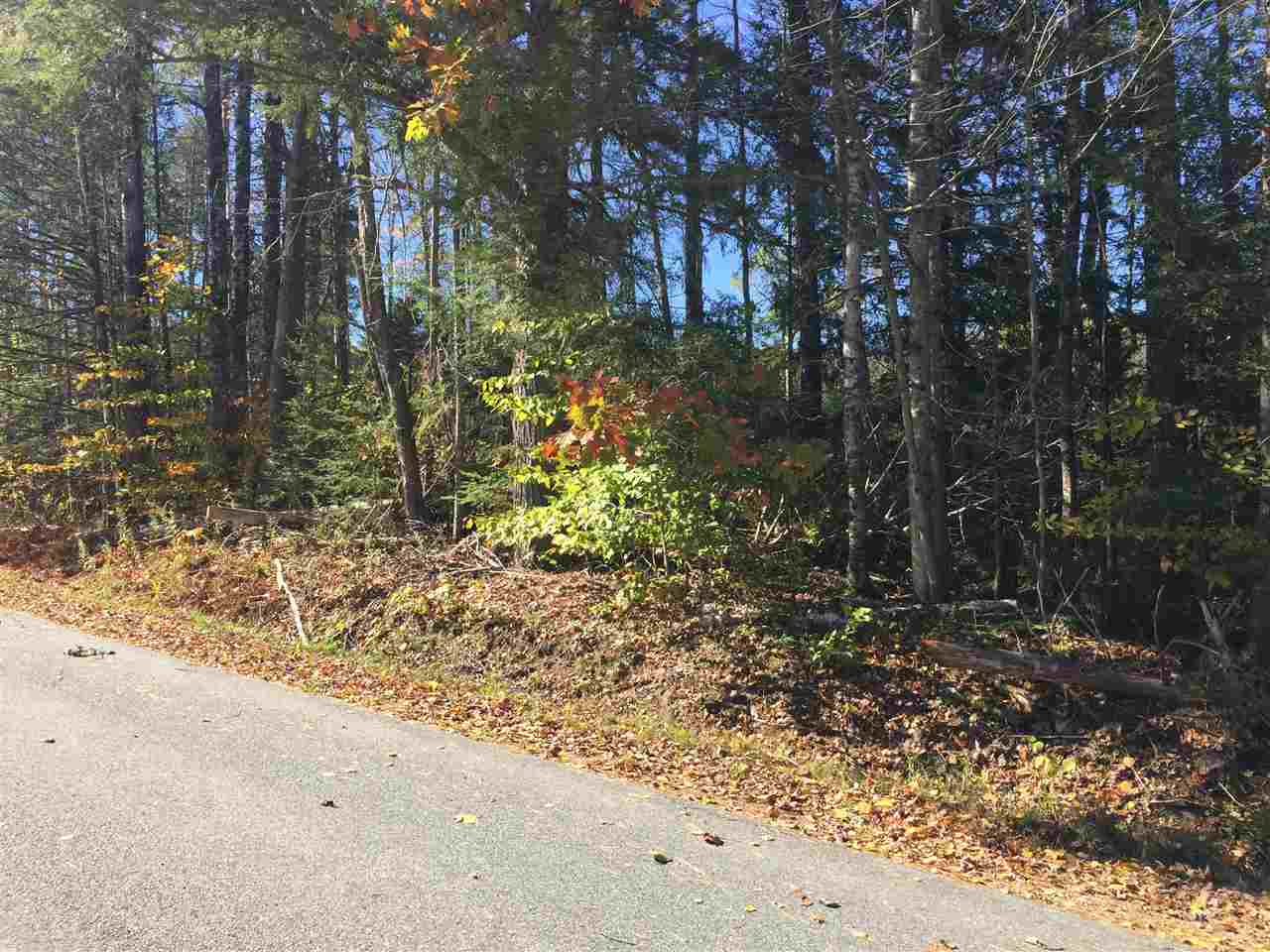 Lot 4 Sanborn Hill Road Springfield, NH 03284 - Photo 1 of 4