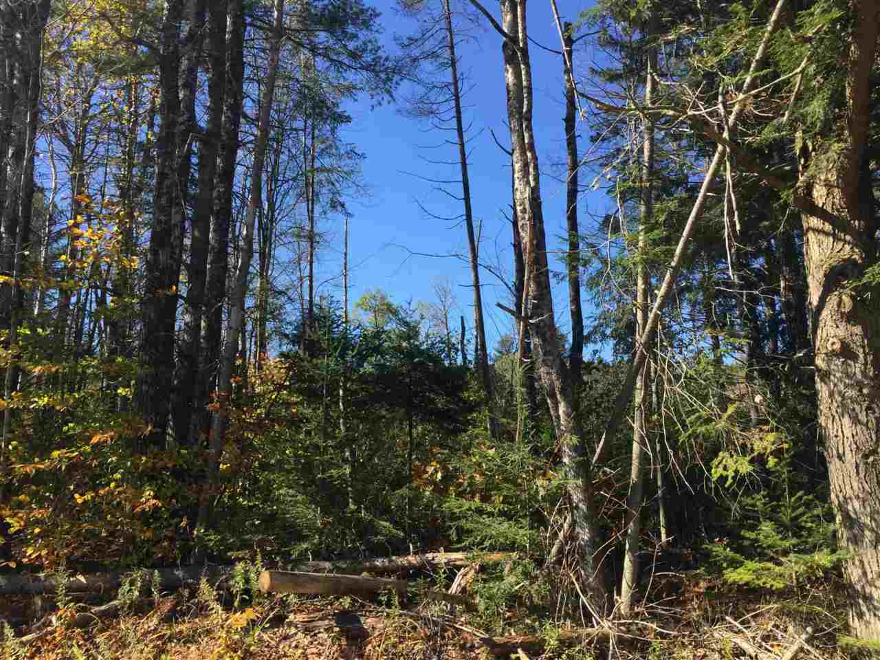 Lot 4 Sanborn Hill Road Springfield, NH 03284 - Photo 2 of 4