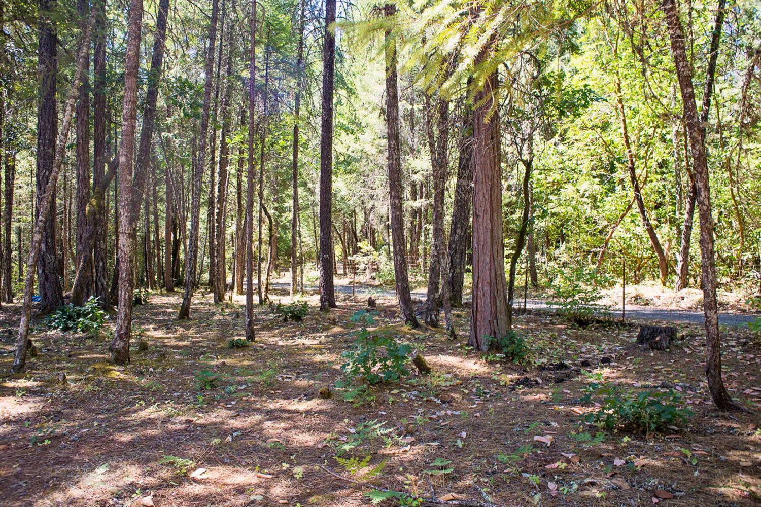 1650 Lone Mountain Road O'Brien, OR 97534 - Photo 22 of 35 Additional Photo