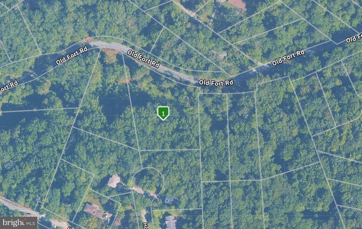 a bathroom with a shower and a toilet