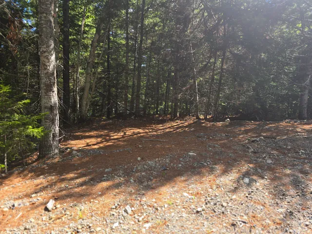 $80,000 | Lot B Lot B Deer Point Road, Robbinston, ME 04671