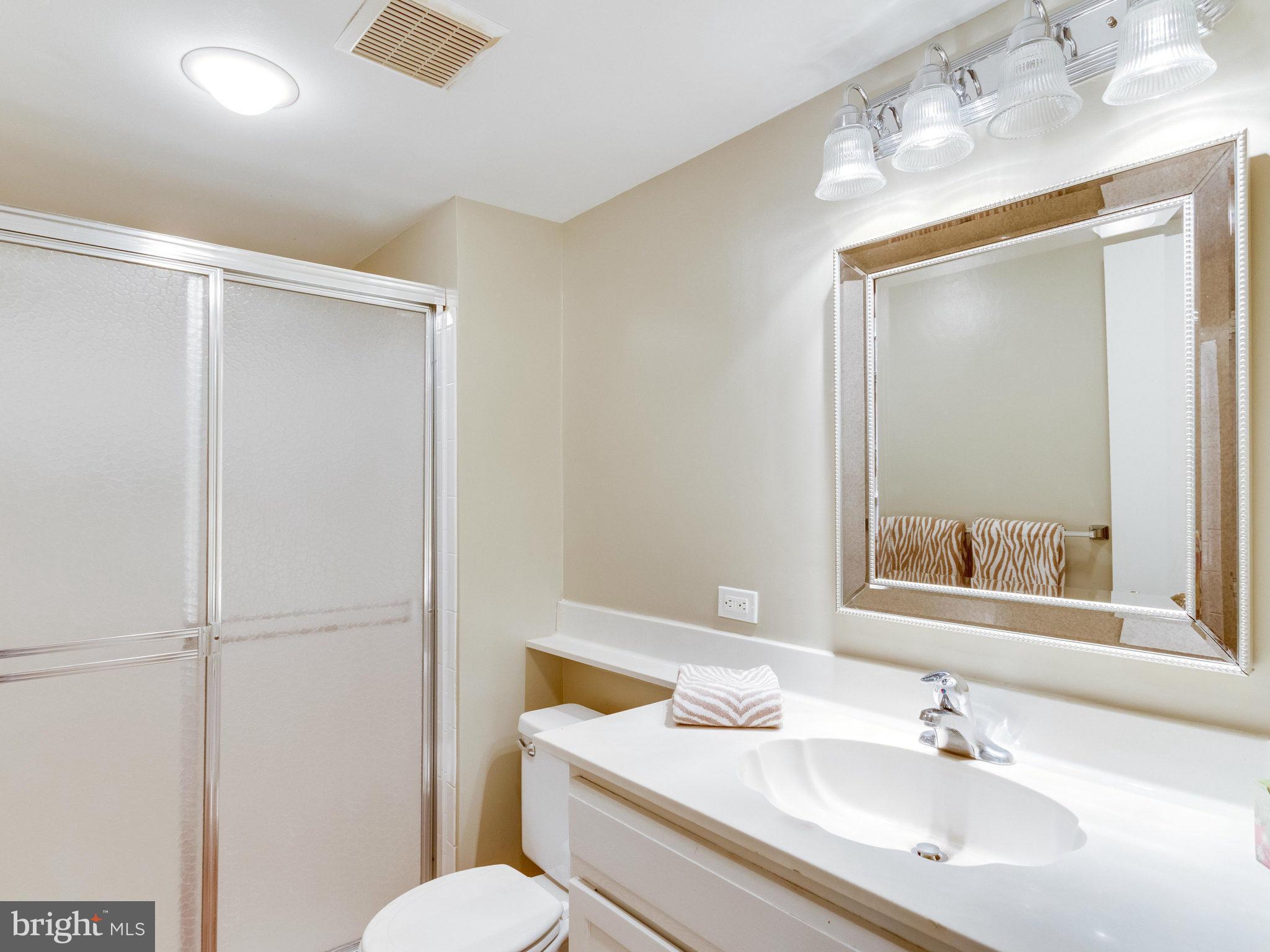 5926 Hall Street Springfield, VA 22152 - Photo 21 of 24 Bath (Master)