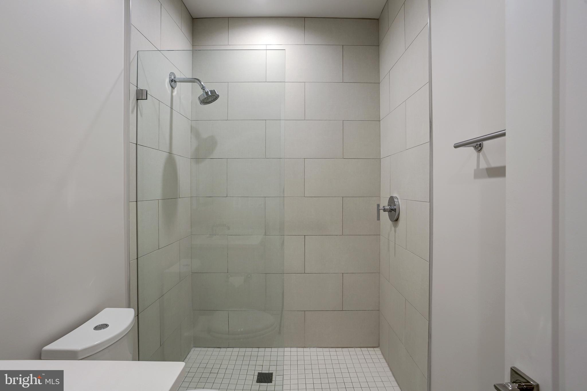 1817 Vernon Street Northwest, Unit 1 Washington, DC 20009 - Photo 20 of 26 Hall Bathroom