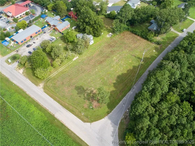 a view of a garden in a backyard