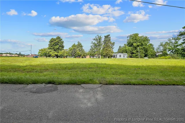 a view of a big yard with a large trees