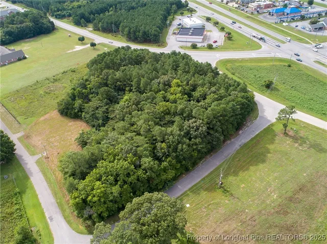 a view of a garden with an outdoor space
