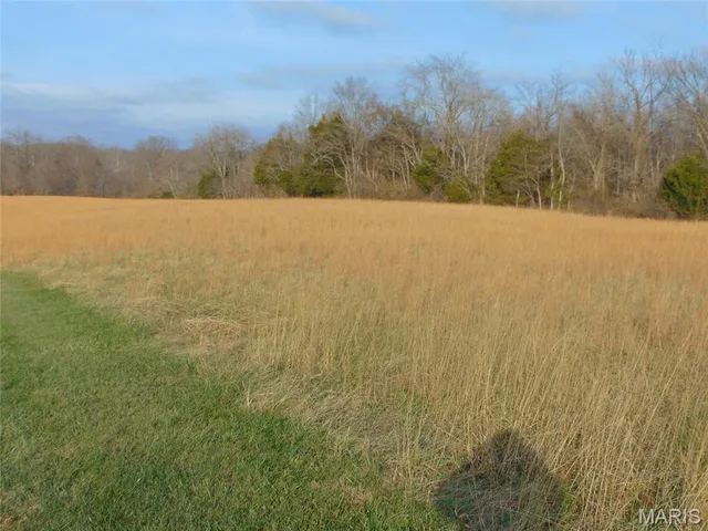 $399,000 | 44 Budd Road, Alto Pass, IL 62905