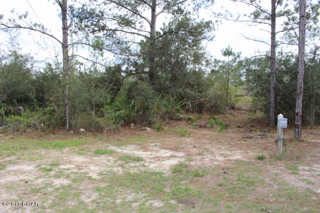 22140 Wonderin Road Altha, FL 32421 - Photo 4 of 20 Gallery Image 4