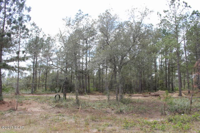 22140 Wonderin Road Altha, FL 32421 - Photo 8 of 20 Gallery Image 8