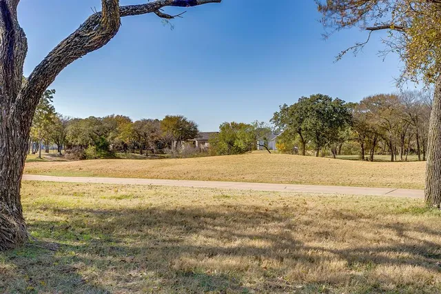 a view of yard with large trees