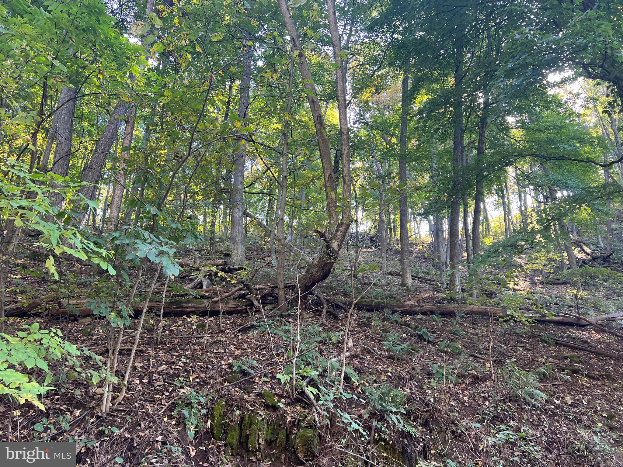 1604 High Knob Road Old Fields, WV 26845 - Photo 89 of 113