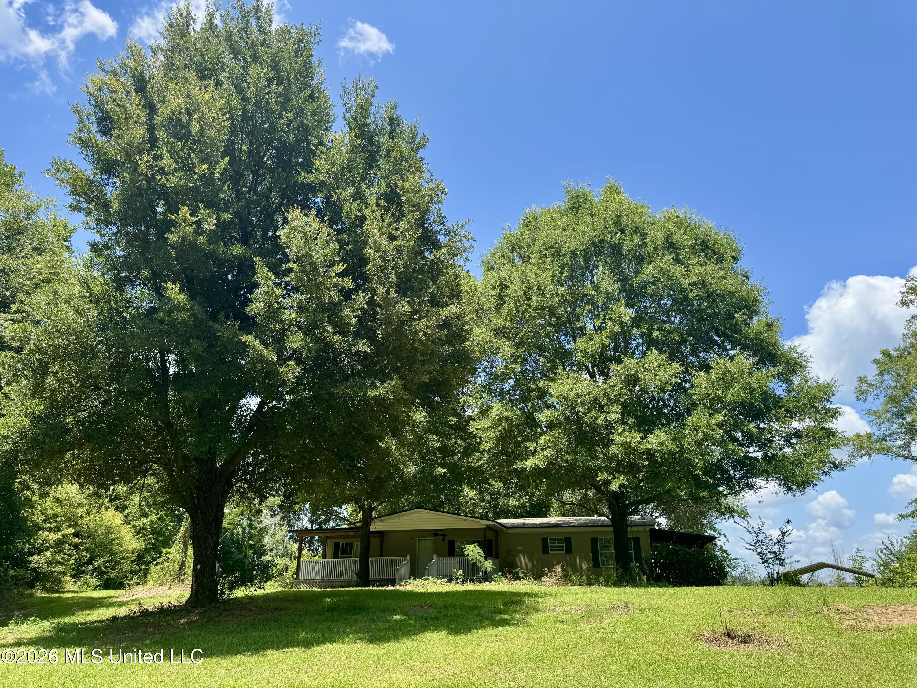 8087 Co Road Quitman, MS 39355 - Photo 2 of 25 IMG_4351