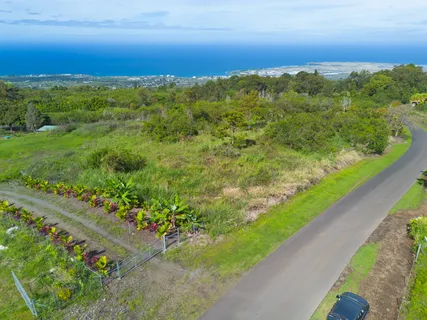a view of a green field