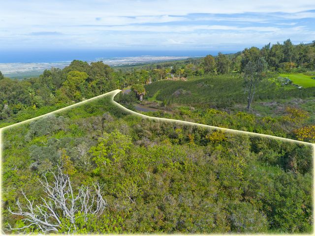 a view of a lush green field
