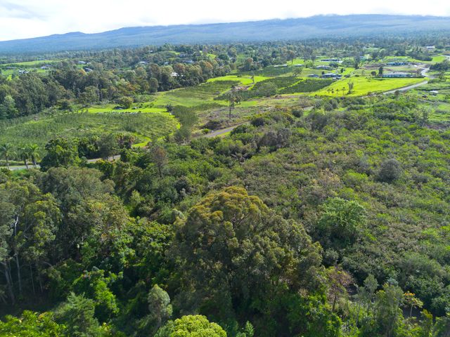 a view of a lush green forest with trees and some houses