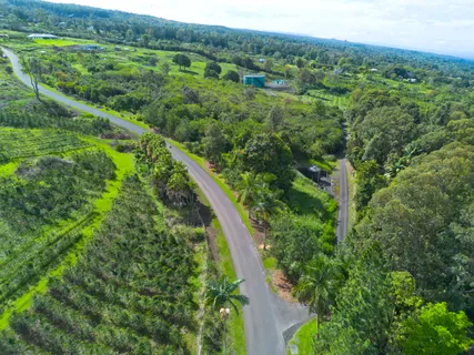 a view of a lush green forest with trees and some houses
