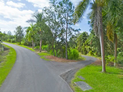 a view of a road with a yard